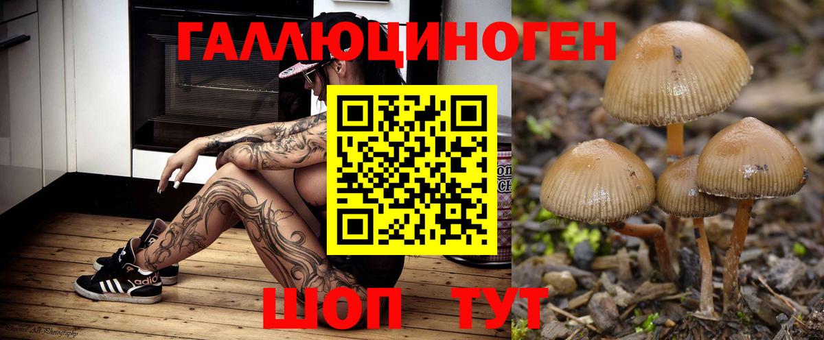 Псилоцибиновые грибы ЛСД Новодвинск